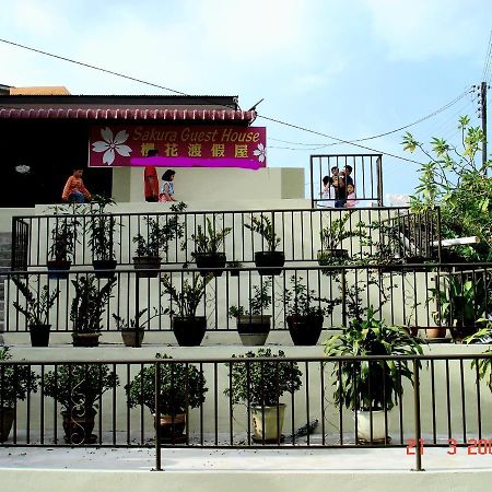 Sakura Guest House Cameron Highlands Eksteriør bilde
