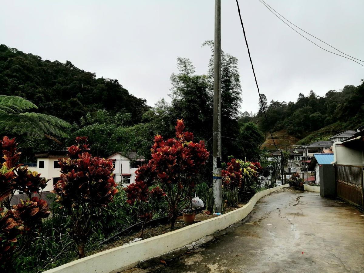 Sakura Guest House Cameron Highlands Eksteriør bilde